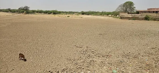 सोने के कड़े से खोदा गया बीकानेर का यह तालाब अब बिल्कुल सुखा