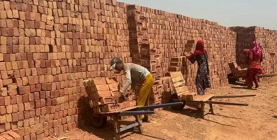एक आदेश,हजारों श्रमिकों पर संकट