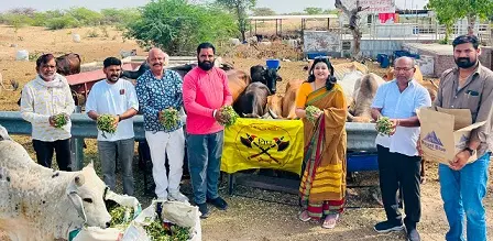 हिंदू परंपरा में गाय को माना जाता है कामधेनु का स्वरूप : डॉ शर्मा